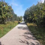 Splitek *