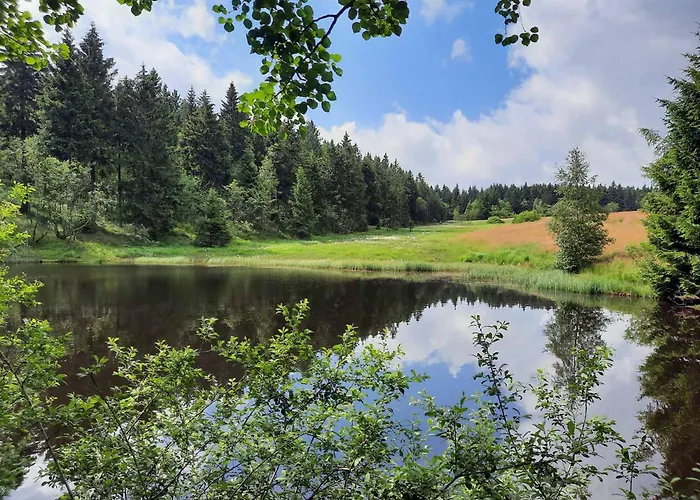 Апартаменты Splitek *