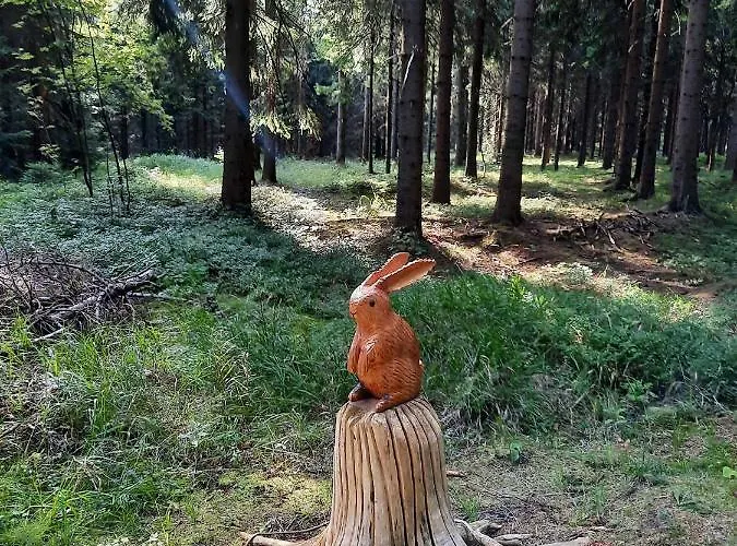 Splitek * Альтенберг