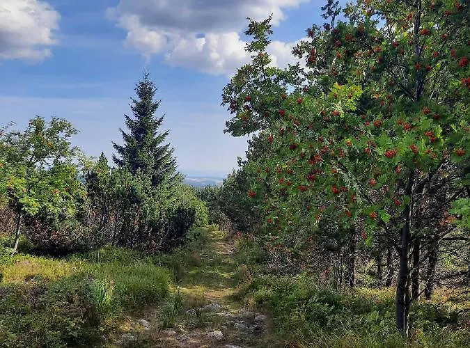 Splitek Апартаменты *