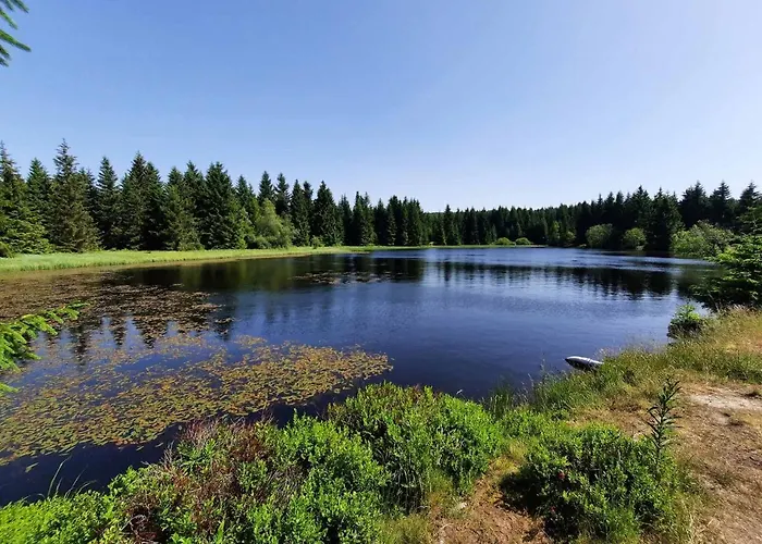 Апартаменты Splitek Альтенберг